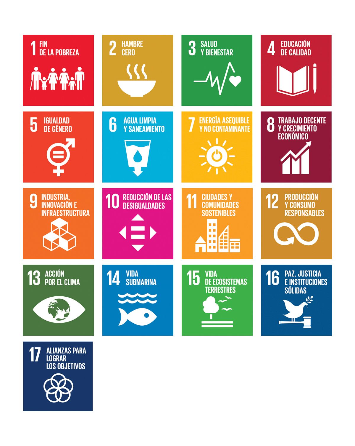 Qué son los ODS u Objetivos de Desarrollo Sostenible | News